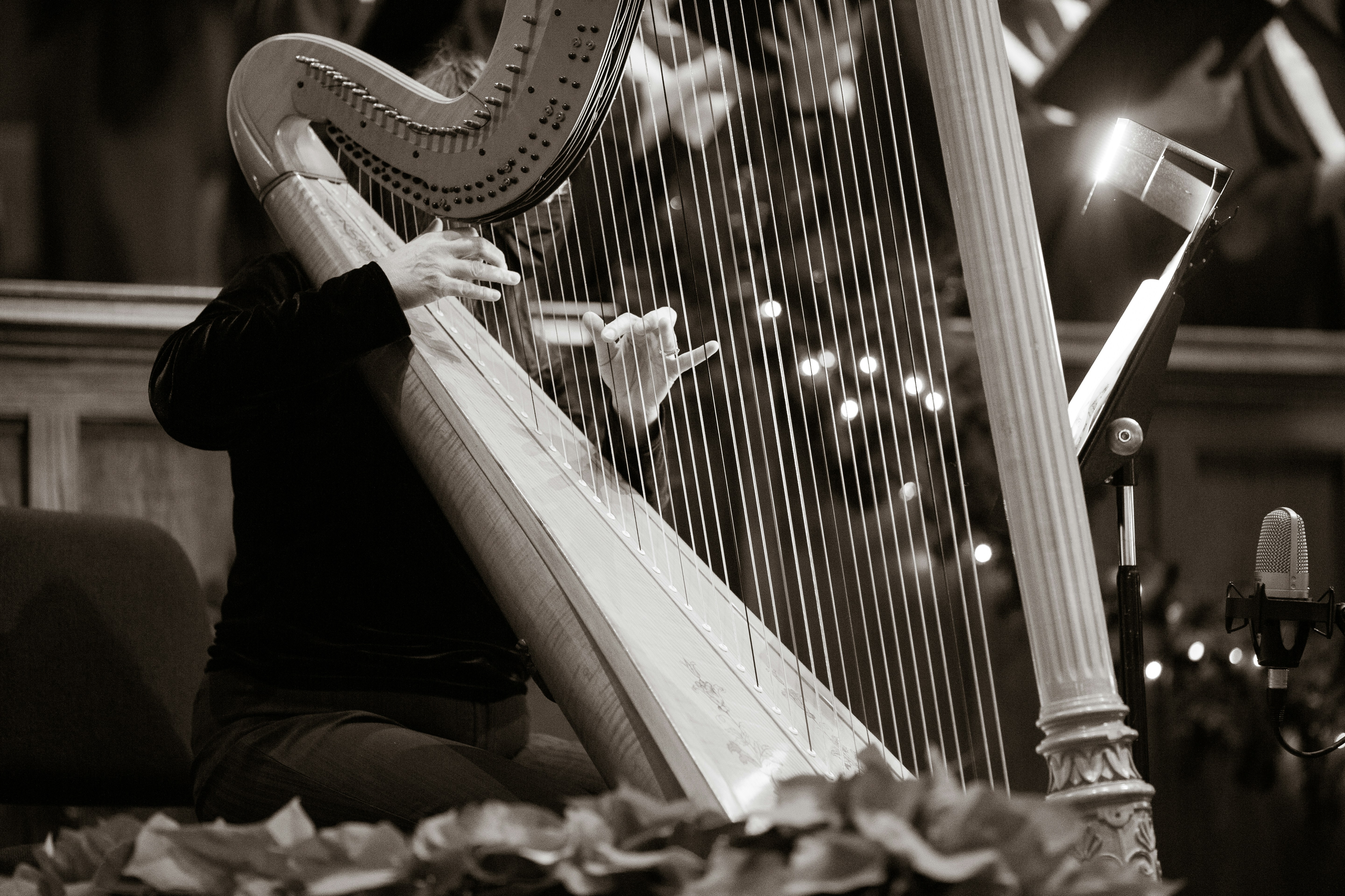 Festivals et découvertes musicales : ouvrir ses horizons
